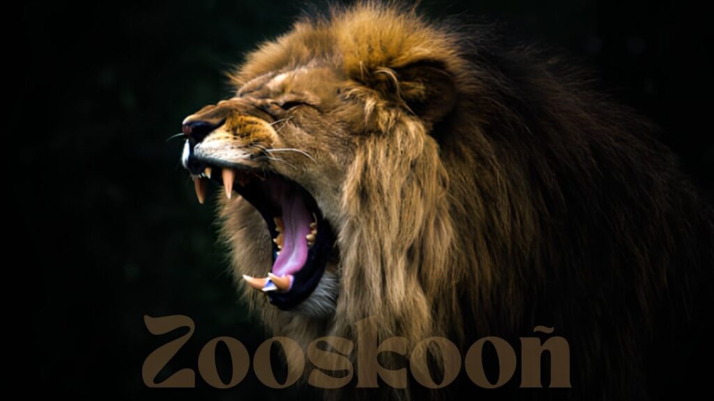 Zooskooñ