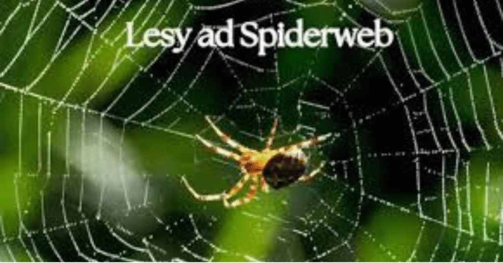 lesy ad spiderweb